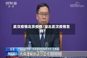 武汉疫情北京疫情/湖北武汉疫情怎样?