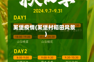 奚堡疫情(奚堡村稻田风景)