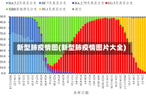 新型肺疫情图(新型肺疫情图片大全)
