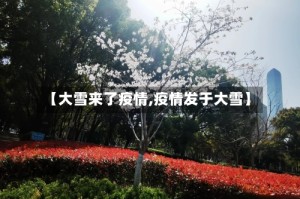 【大雪来了疫情,疫情发于大雪】