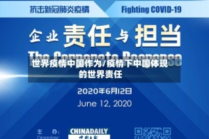 世界疫情中国作为/疫情下中国体现的世界责任