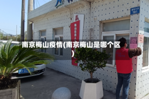 南京梅山疫情(南京梅山是哪个区)
