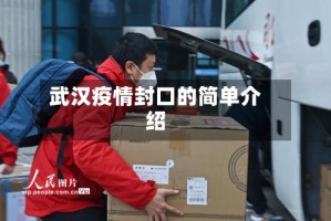 武汉疫情封口的简单介绍