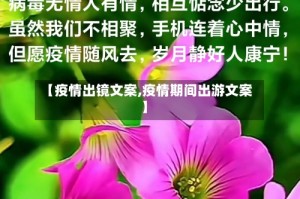 【疫情出镜文案,疫情期间出游文案】