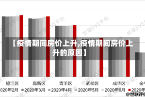 【疫情期间房价上升,疫情期间房价上升的原因】