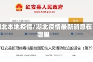 湖北本地疫情/湖北疫情最新消息在哪里