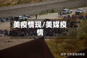 美疫情现/美媒疫情