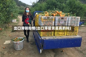 出口滞销疫情(出口滞留货是真的吗)