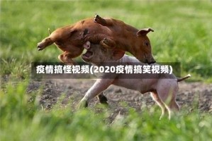 疫情搞怪视频(2020疫情搞笑视频)