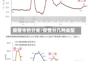 疫情中的分类/疫情分几种类型