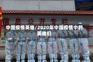 中国疫情英雄/2020年中国疫情中的英雄们