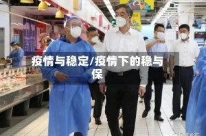 疫情与稳定/疫情下的稳与保
