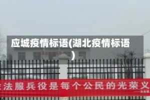 应城疫情标语(湖北疫情标语)