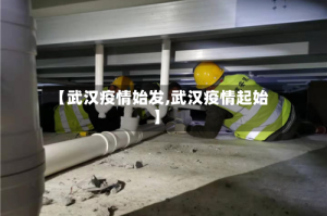 【武汉疫情始发,武汉疫情起始】