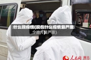 什么现疫情(现在什么疫情最严重)