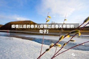 疫情以后的春天(疫情过后春天来临的句子)