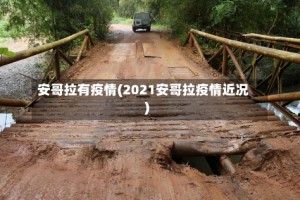 安哥拉有疫情(2021安哥拉疫情近况)