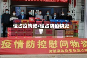 侵占疫情款/侵占防疫物资罪