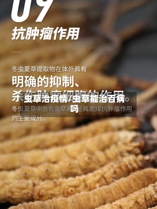 虫草治疫情/虫草能治百病吗-第1张图片