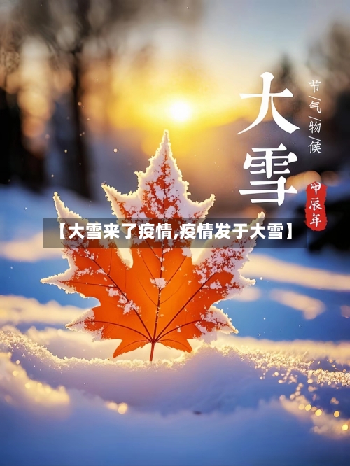 【大雪来了疫情,疫情发于大雪】-第3张图片