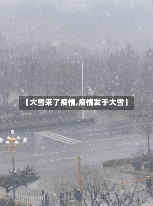 【大雪来了疫情,疫情发于大雪】-第2张图片