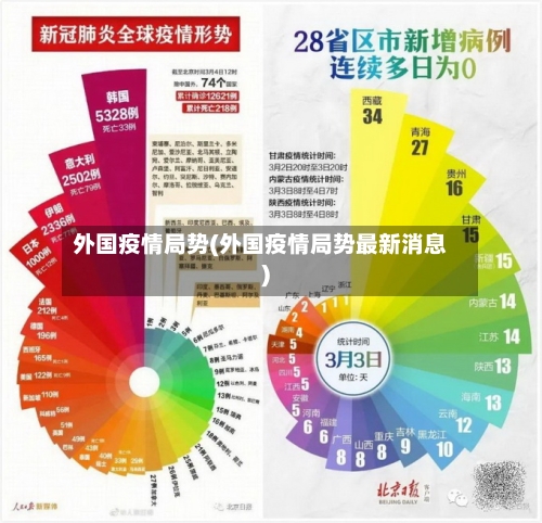 外国疫情局势(外国疫情局势最新消息)-第2张图片