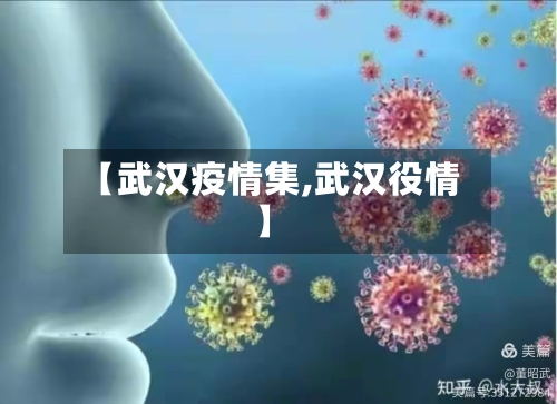 【武汉疫情集,武汉役情】-第1张图片