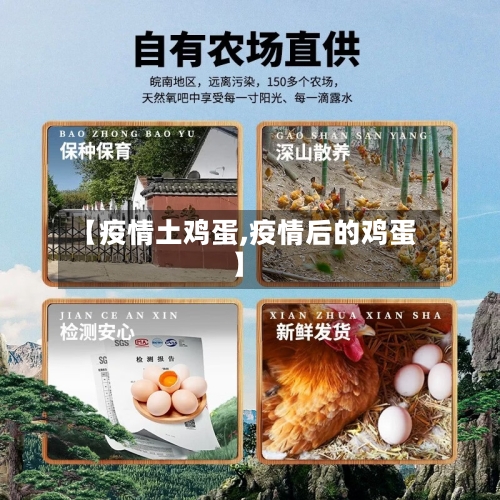 【疫情土鸡蛋,疫情后的鸡蛋】-第1张图片