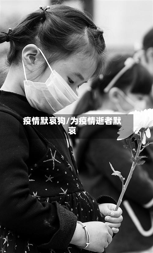 疫情默哀狗/为疫情逝者默哀-第1张图片