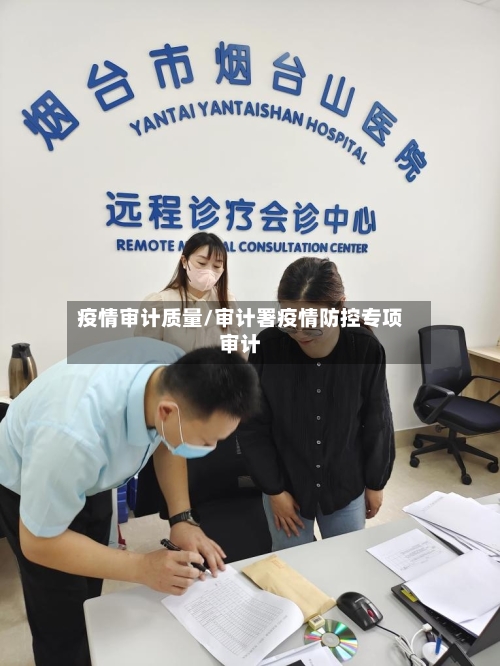 疫情审计质量/审计署疫情防控专项审计-第3张图片