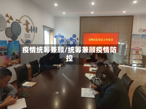 疫情统筹兼顾/统筹兼顾疫情防控-第2张图片