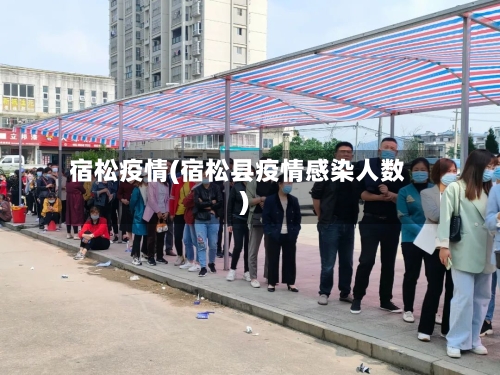 宿松疫情(宿松县疫情感染人数)-第1张图片