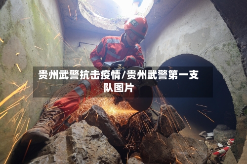 贵州武警抗击疫情/贵州武警第一支队图片-第1张图片