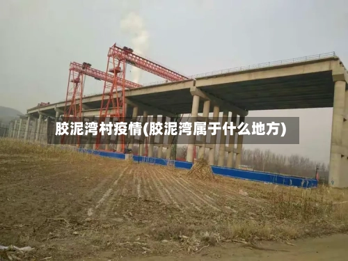 胶泥湾村疫情(胶泥湾属于什么地方)-第1张图片