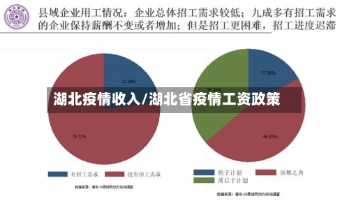 湖北疫情收入/湖北省疫情工资政策-第2张图片