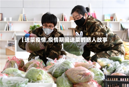【送菜疫情,疫情期间送菜的感人故事】-第1张图片