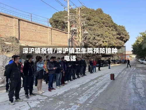 深沪镇疫情/深沪镇卫生院预防接种电话-第1张图片