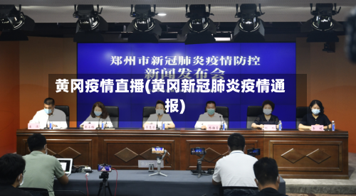 黄冈疫情直播(黄冈新冠肺炎疫情通报)-第2张图片