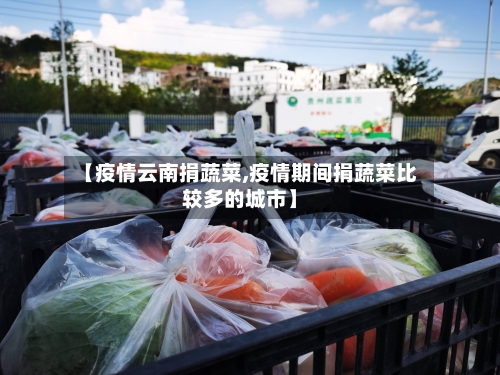 【疫情云南捐蔬菜,疫情期间捐蔬菜比较多的城市】-第1张图片