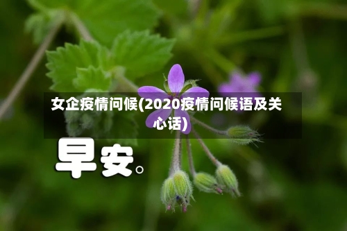 女企疫情问候(2020疫情问候语及关心话)-第2张图片