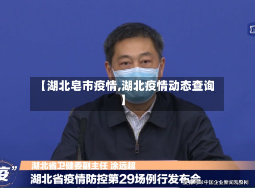 【湖北皂市疫情,湖北疫情动态查询】-第3张图片
