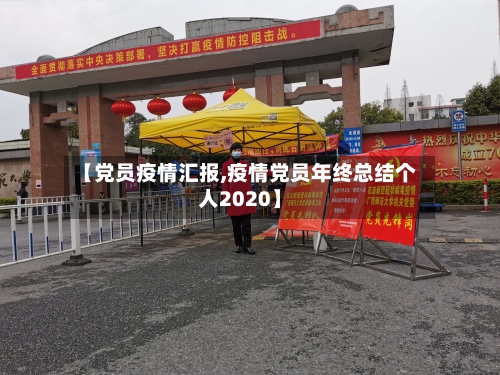 【党员疫情汇报,疫情党员年终总结个人2020】-第3张图片