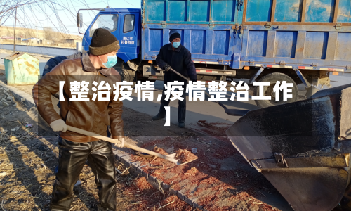 【整治疫情,疫情整治工作】-第3张图片