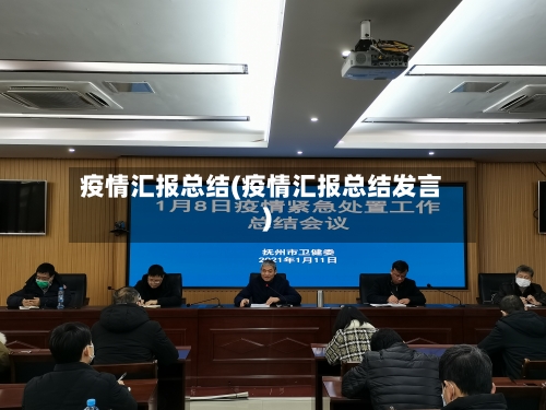 疫情汇报总结(疫情汇报总结发言)-第2张图片