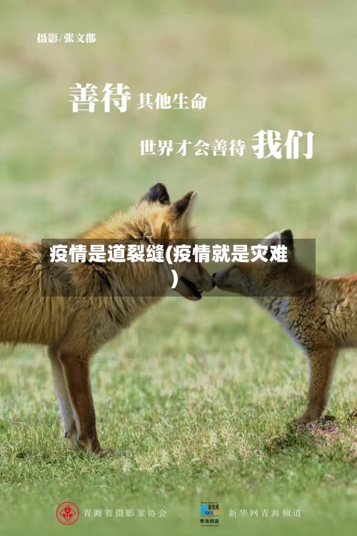 疫情是道裂缝(疫情就是灾难)-第3张图片