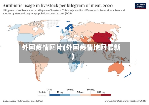 外国疫情图片(外国疫情地图最新)-第1张图片