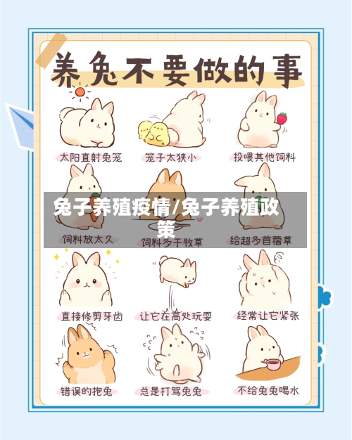 兔子养殖疫情/兔子养殖政策-第1张图片