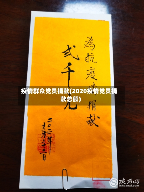 疫情群众党员捐款(2020疫情党员捐款总额)-第1张图片