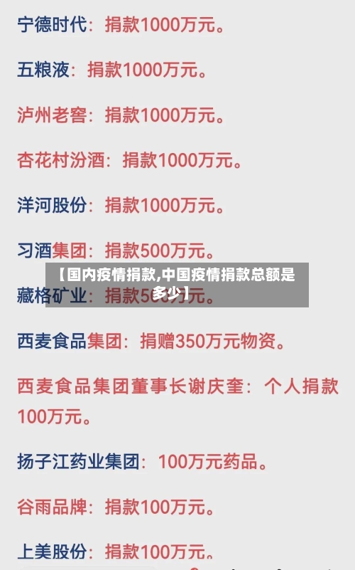 【国内疫情捐款,中国疫情捐款总额是多少】-第2张图片