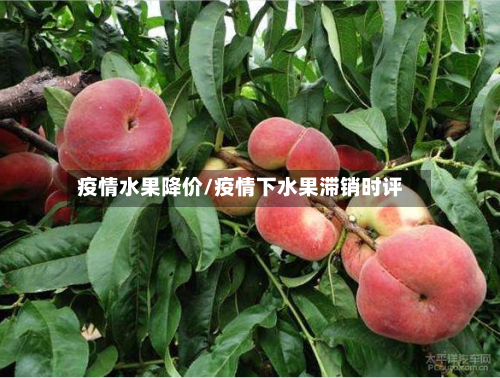 疫情水果降价/疫情下水果滞销时评-第2张图片